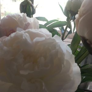 Meet your Posher, Kait